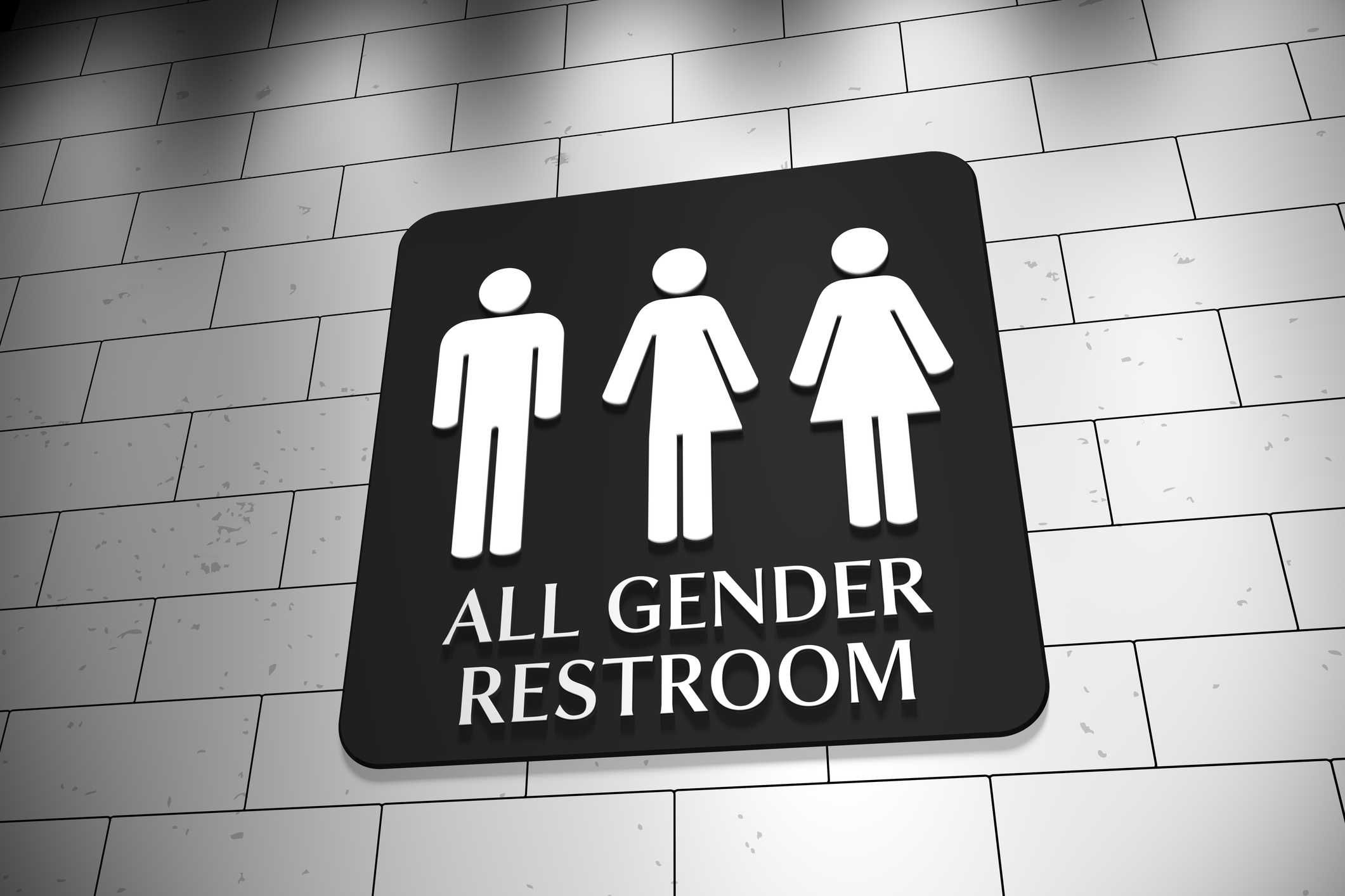 Transgender bathroom access laws in the United States, 2015-2016